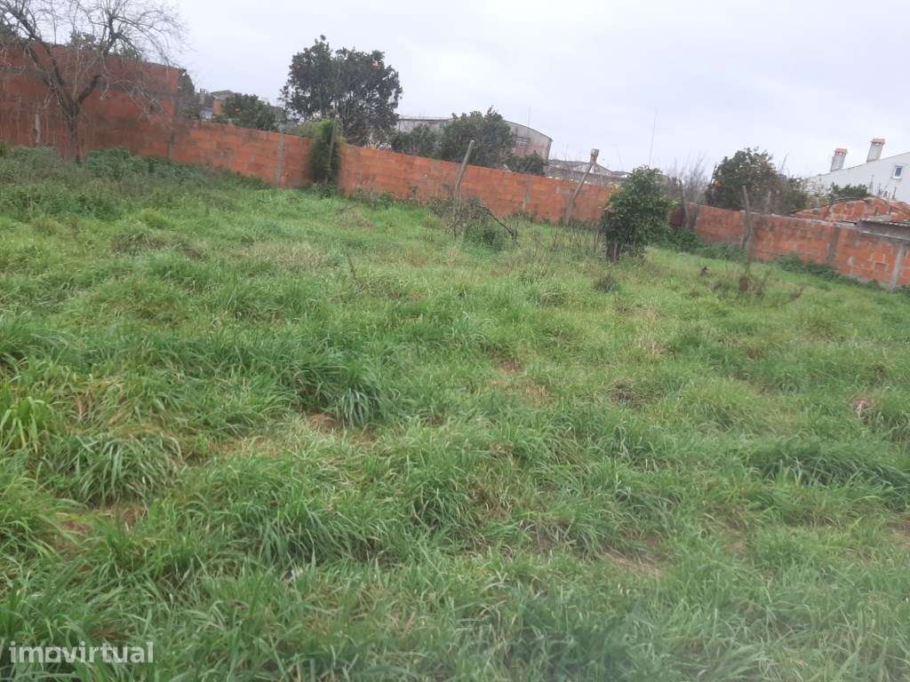 Terreno com 44 m frente Calvão - Vagos - Grande imagem: 2/10