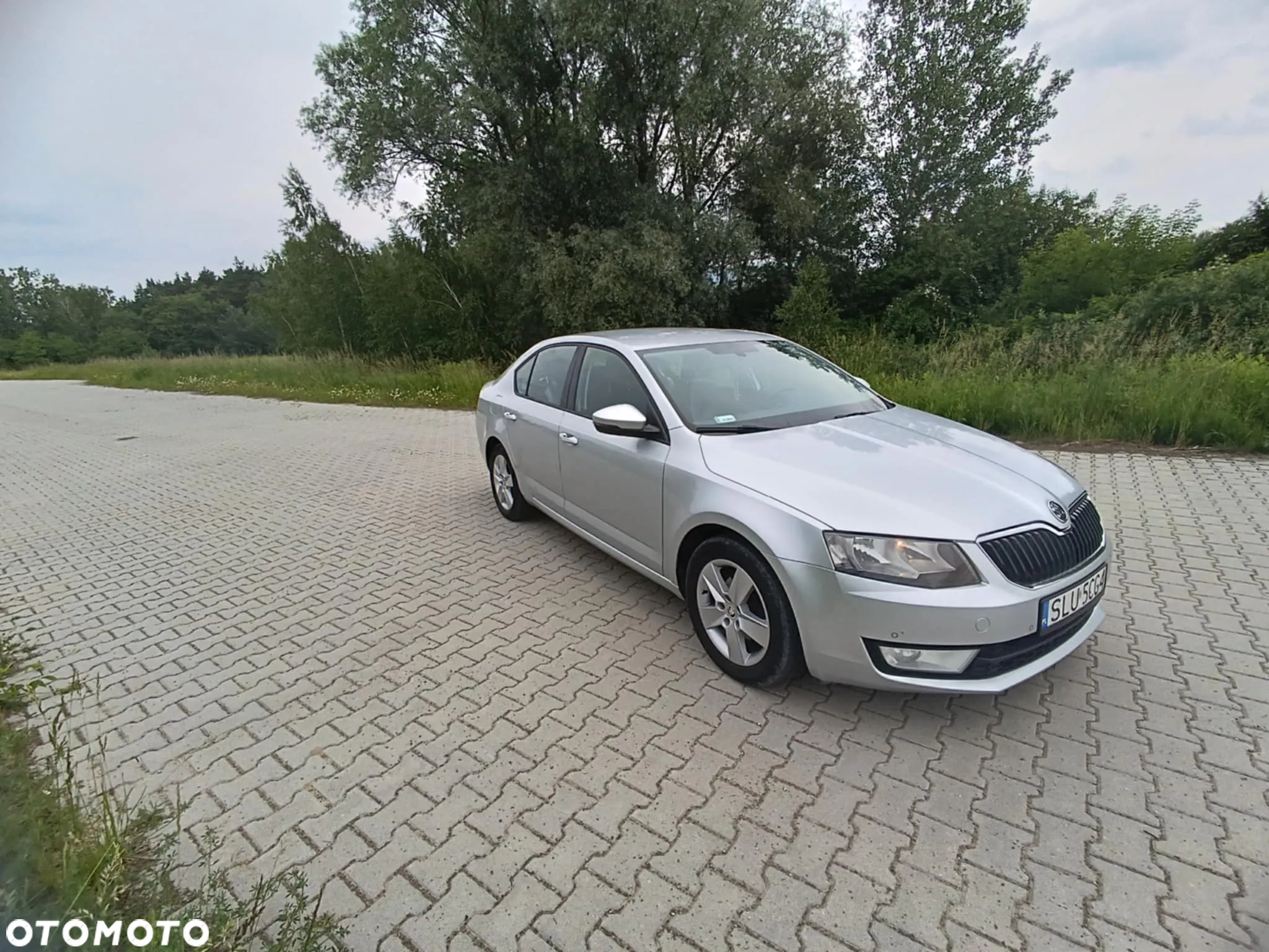 Skoda Octavia 1.6 TDI Ambition - 2