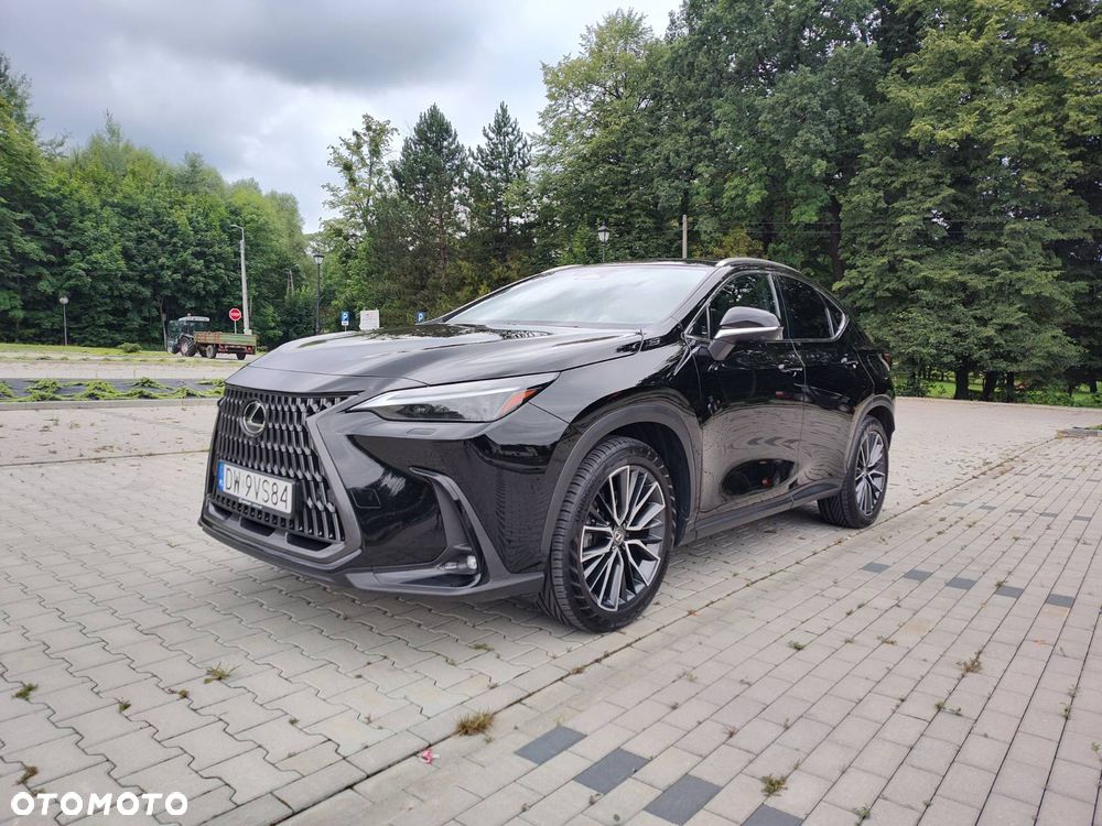 Lexus NX - 1