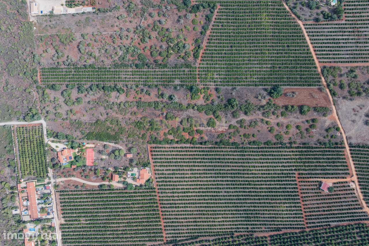 2 Terrenos Rústicos à Venda em Algoz - Grande imagem: 4/12