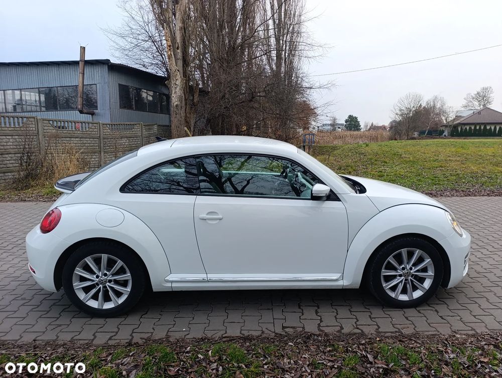 Volkswagen Beetle - 7