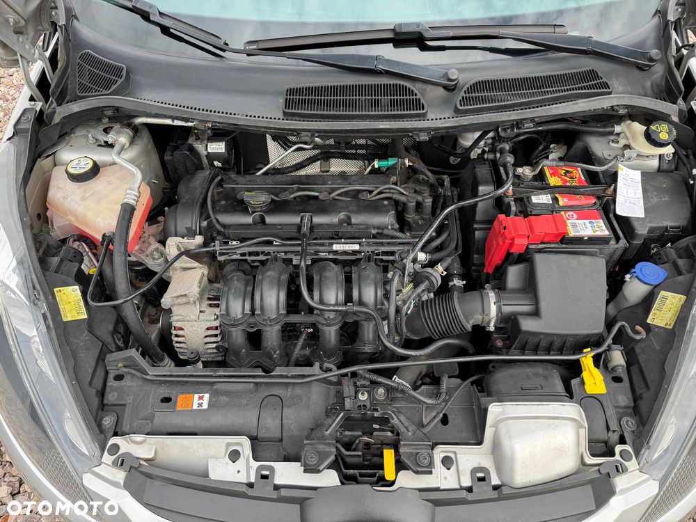 Ford Fiesta - 14