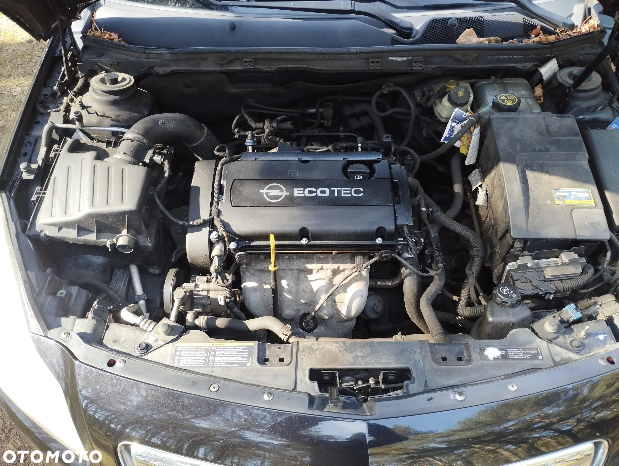 Opel Insignia 1.8 - 37