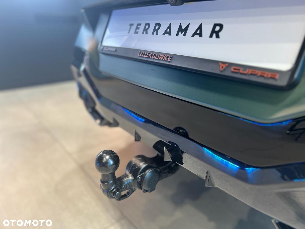 Cupra Terramar 2.0 TSI 4Drive Tribe Edition DSG - 8