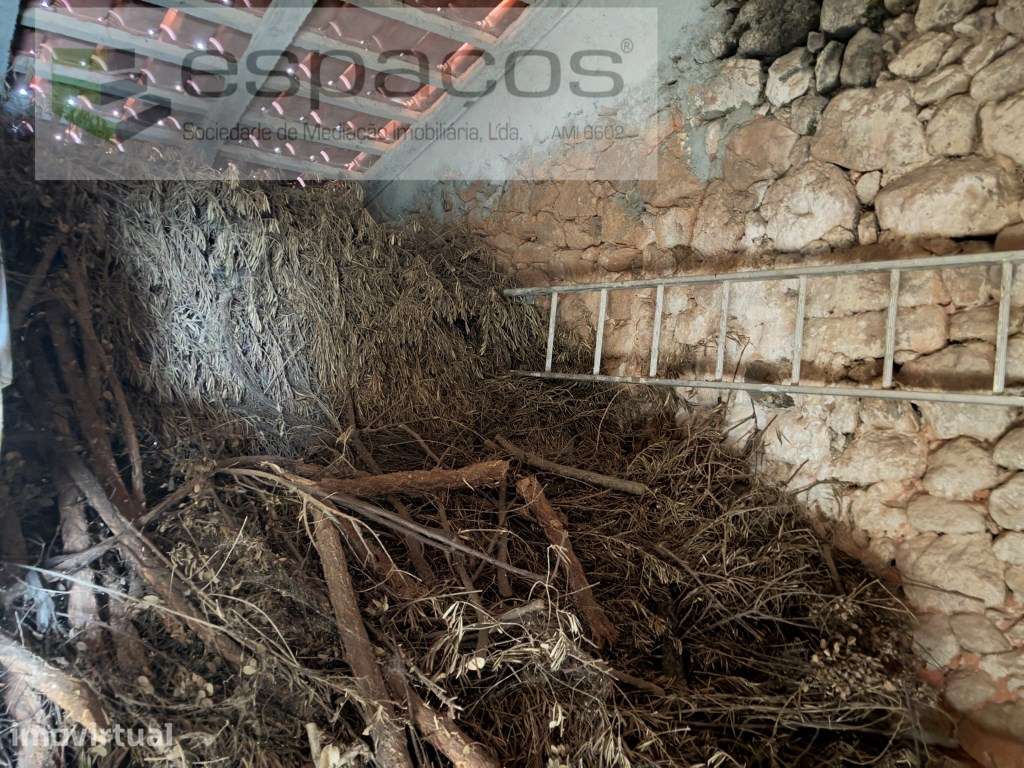 Quinta em Quintas da Torre com casa de Habitação - Grande imagem: 4/41