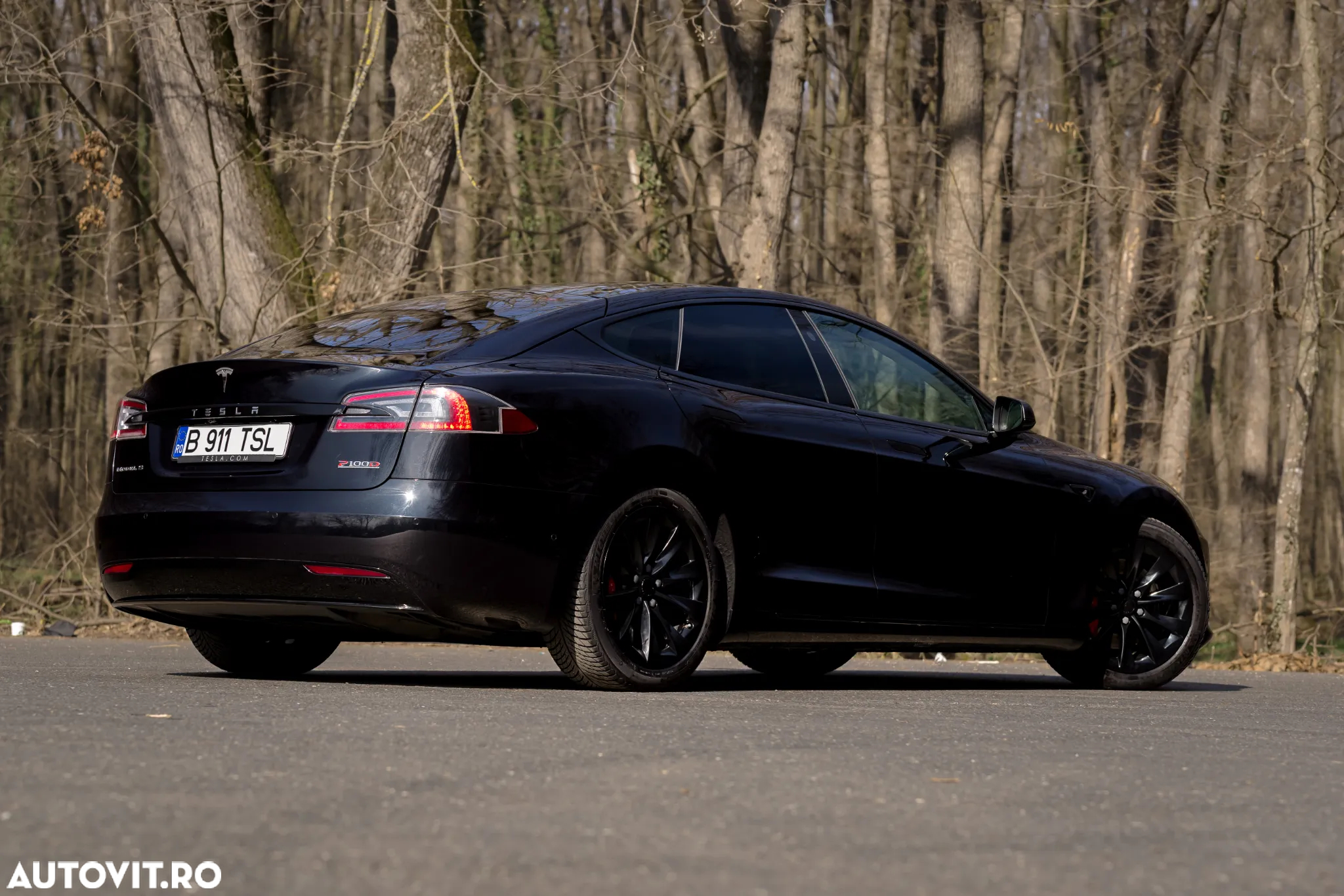 Tesla Model S Performance - 8