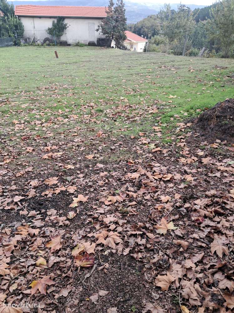 Terreno Rústico 1820m2 - Constance, Marco de Canaveses - Grande imagem: 2/11