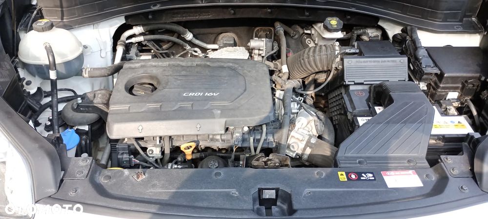 Kia Sportage - 21