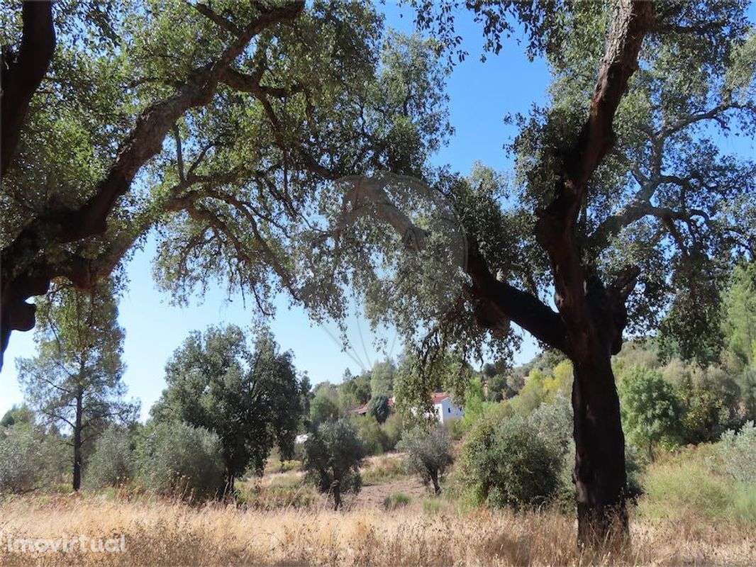 Quinta  para venda - Grande imagem: 3/42