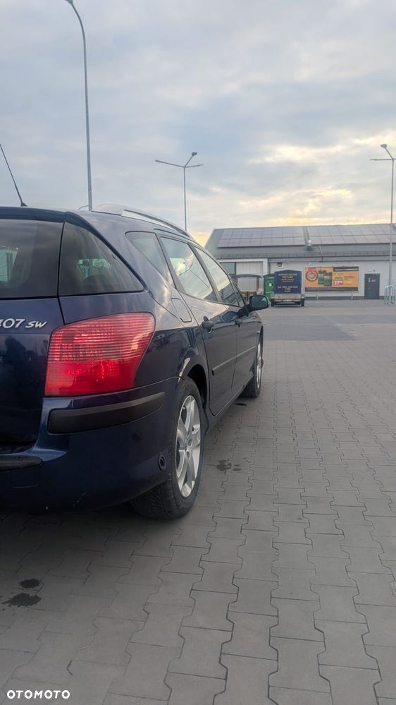 Peugeot 407 - 15