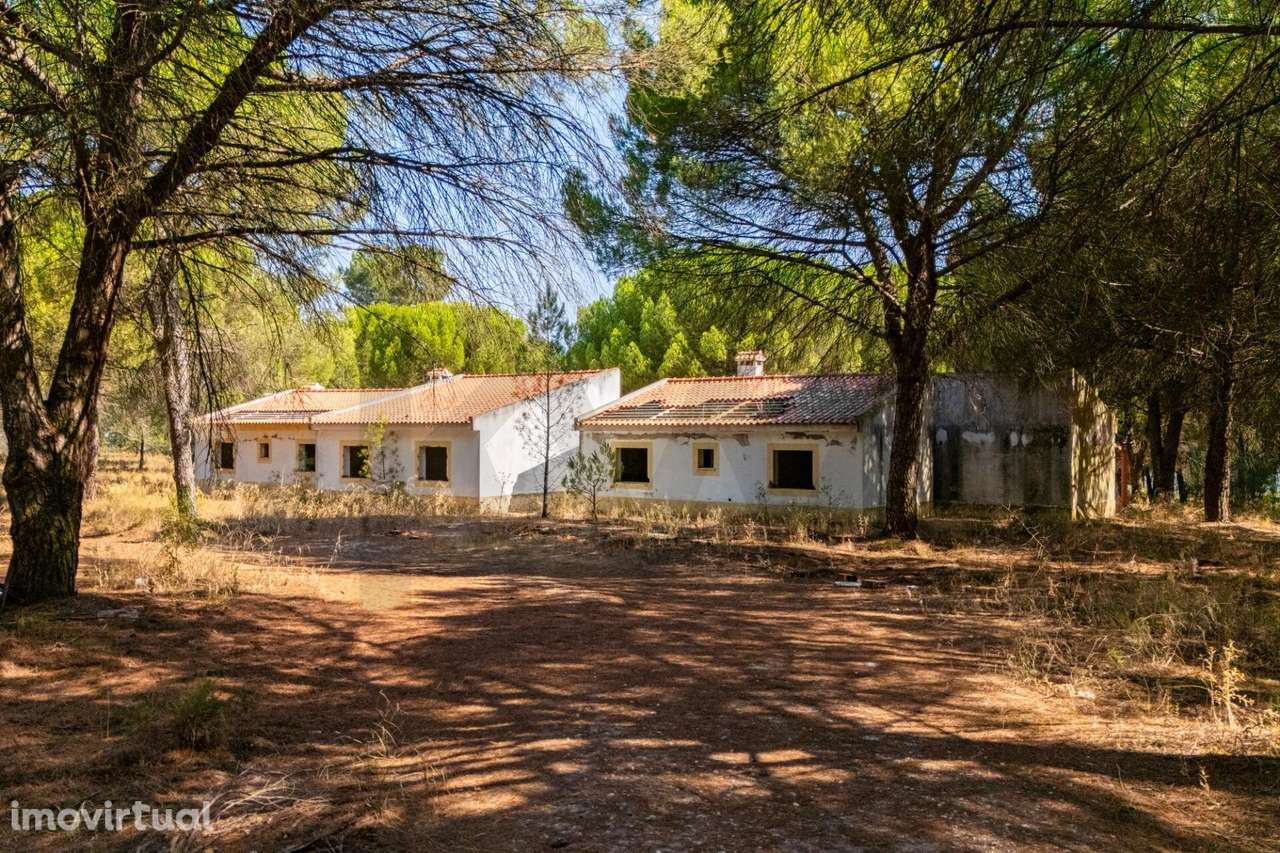 Moradia T2 térrea com 11.295 m2 de terreno — Pegões | Para reabilitaçã - Grande imagem: 2/31