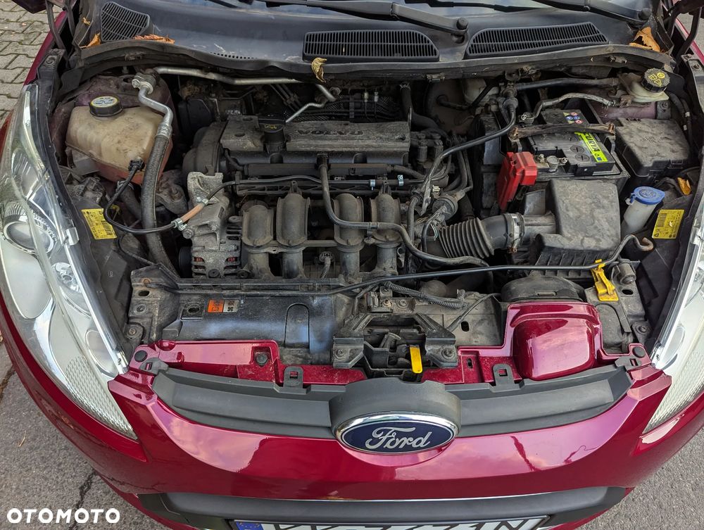 Ford Fiesta 1.25 Ghia EU5 - 13