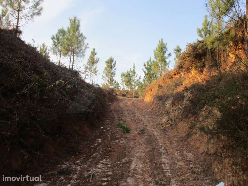 Terreno c/ possibilidade p/ loteamento em Lanheses - Grande imagem: 2/5