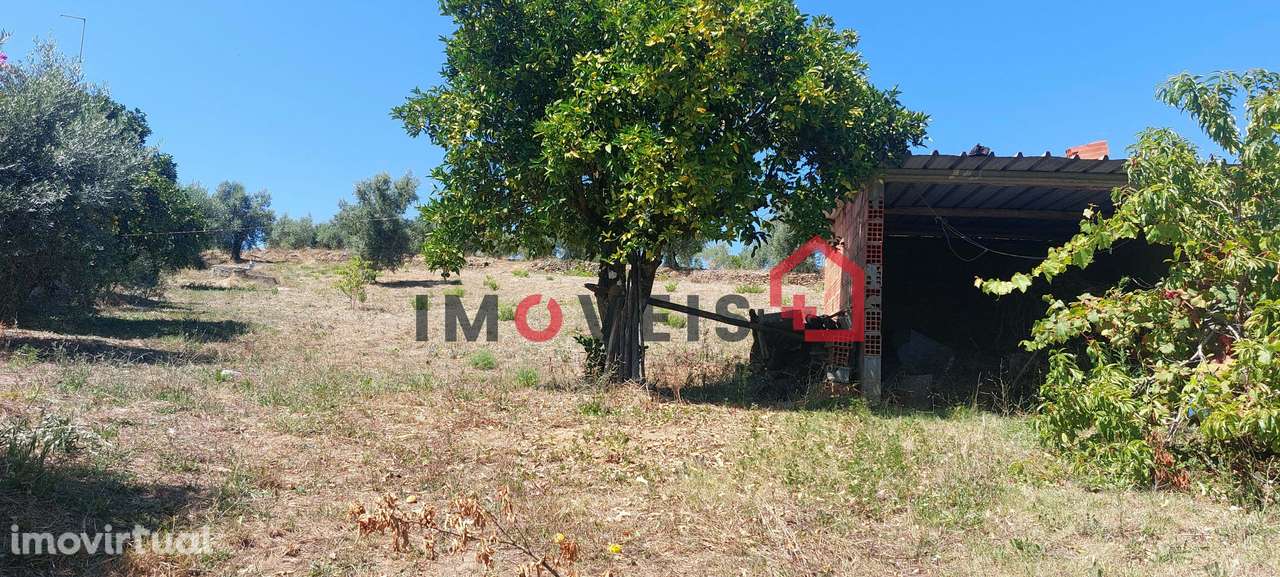 Terreno para construção com vista desafogada! - Grande imagem: 3/6