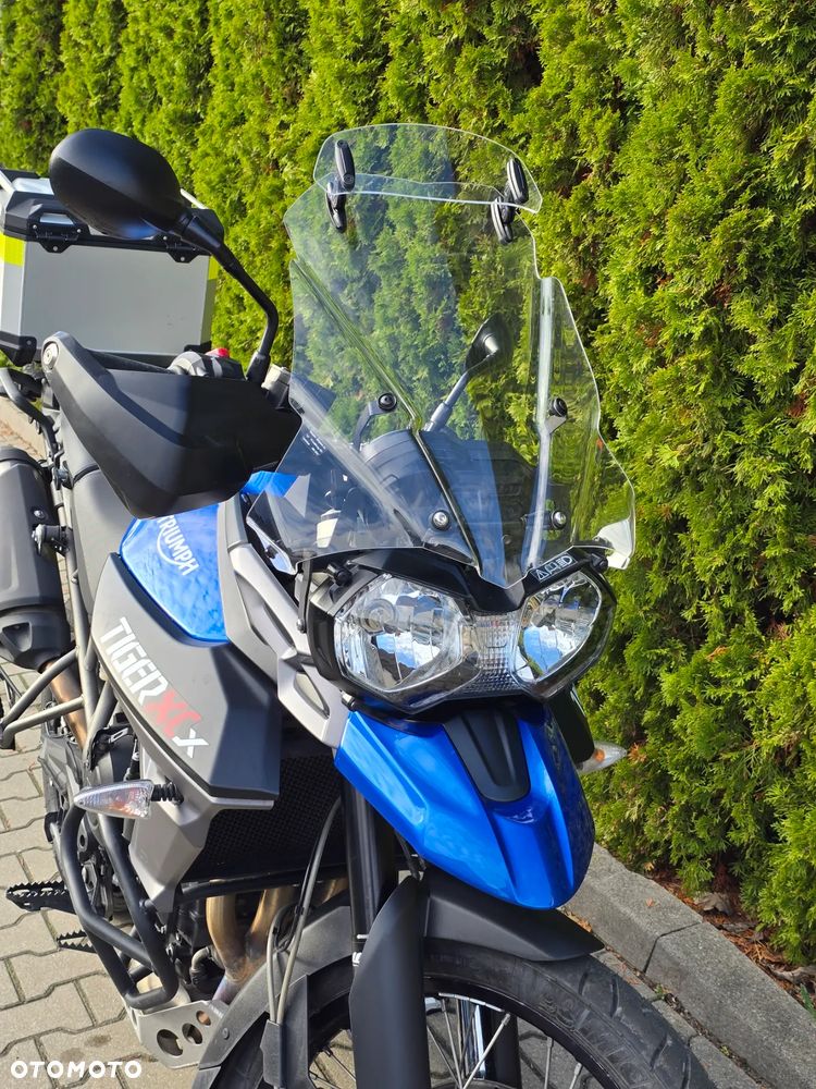 Triumph Tiger - 6