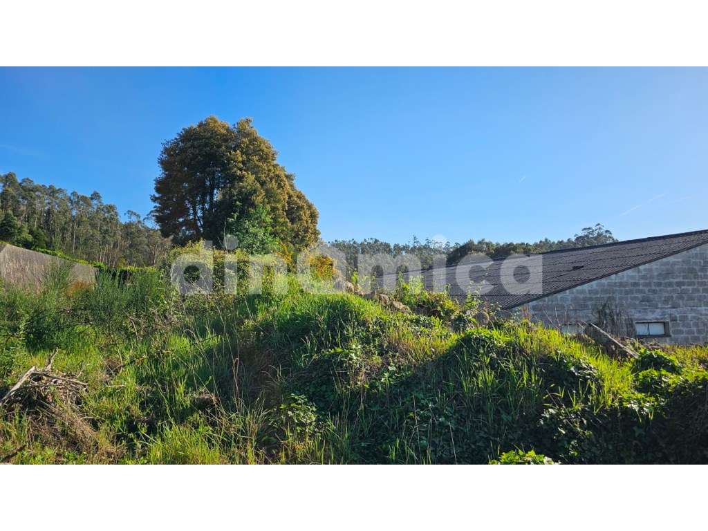 Armazém para recuperar - Vila Conde! - Grande imagem: 4/14