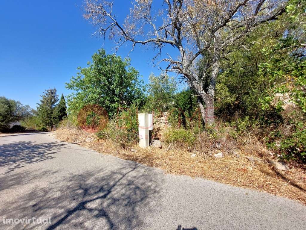 Terreno Misto com Projeto em Betunes, Loulé - Grande imagem: 4/8