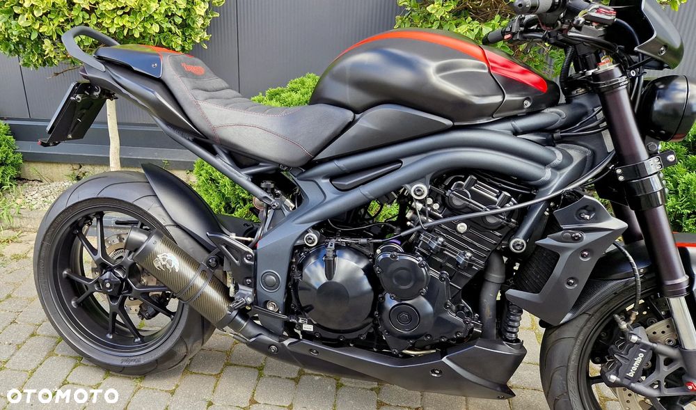 Triumph Speed Triple - 19