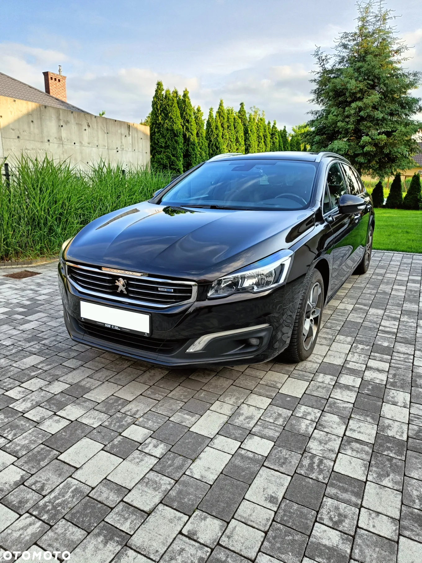 Peugeot 508 2.0 BlueHDi Allure S&S - 2
