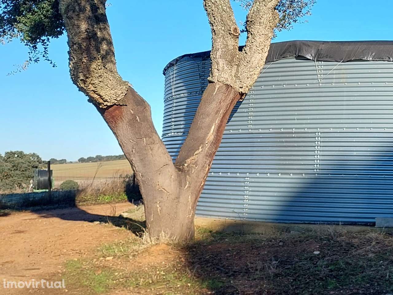Herdade Alto Alentejo - Grande imagem: 5/8