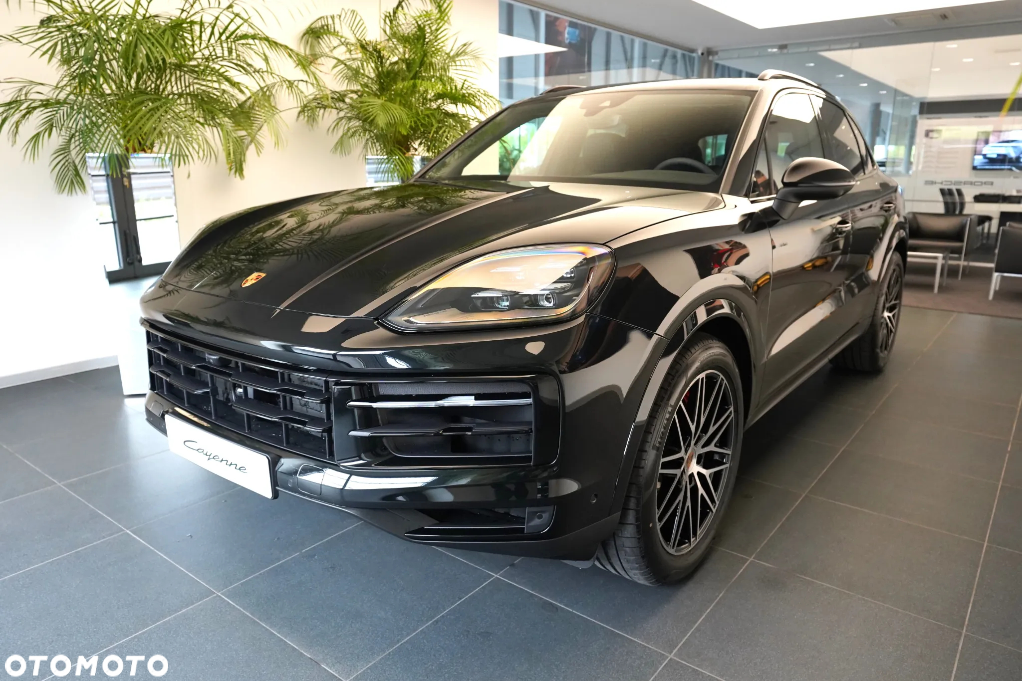 Porsche Cayenne Standard - 7