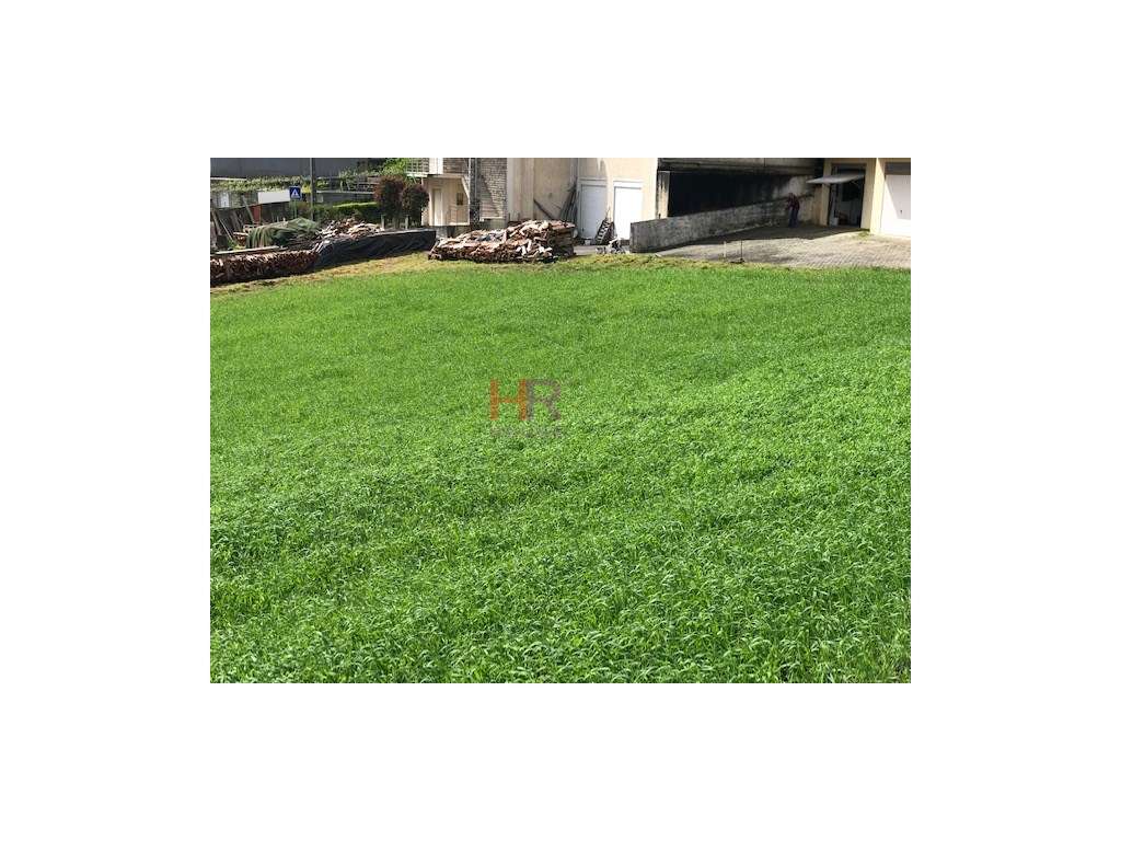 Aveleira- Terreno para Construção - Grande imagem: 3/5