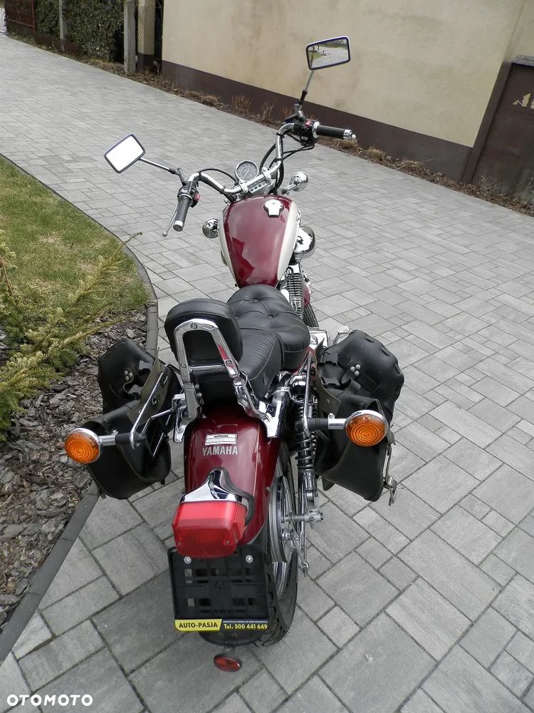 Yamaha Virago - 3