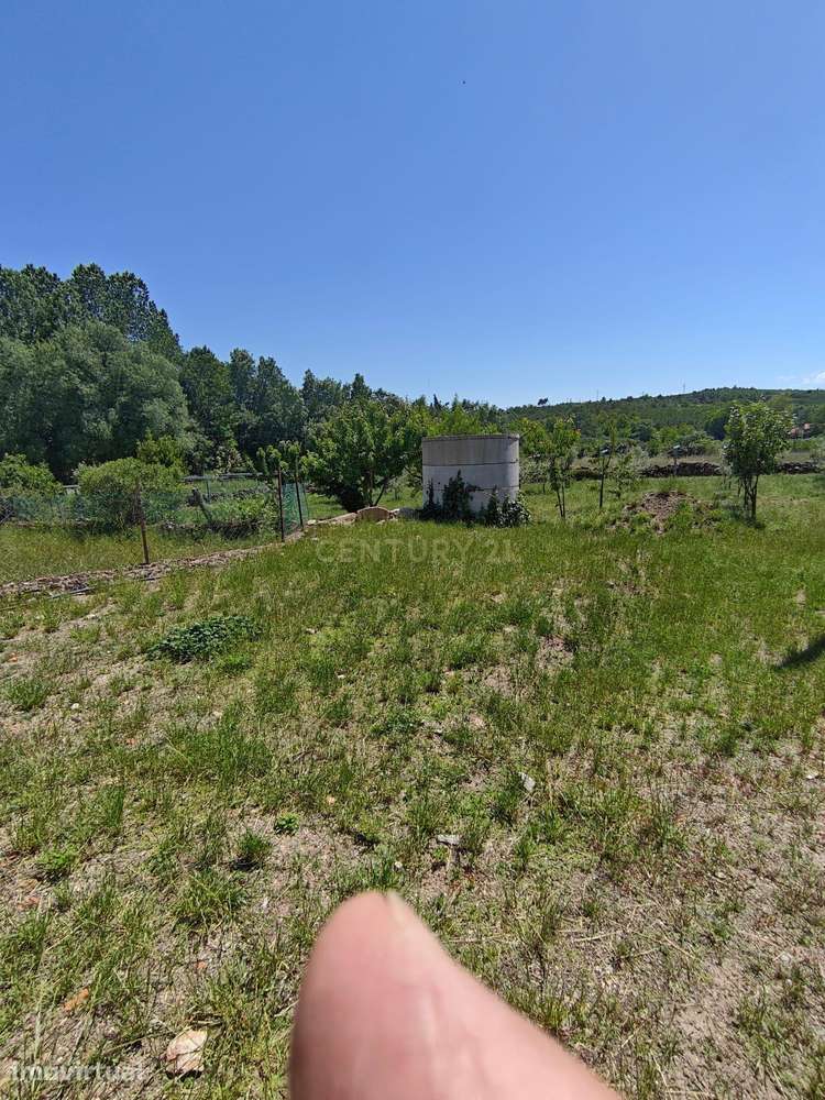 Casa Principal e mais 2 para Renovar com Jardim e Vinhedo em Vila Chã, - Grande imagem: 3/12