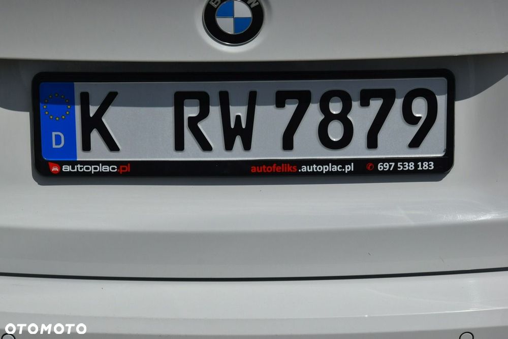 BMW Seria 3 318d Blue Performance - 17