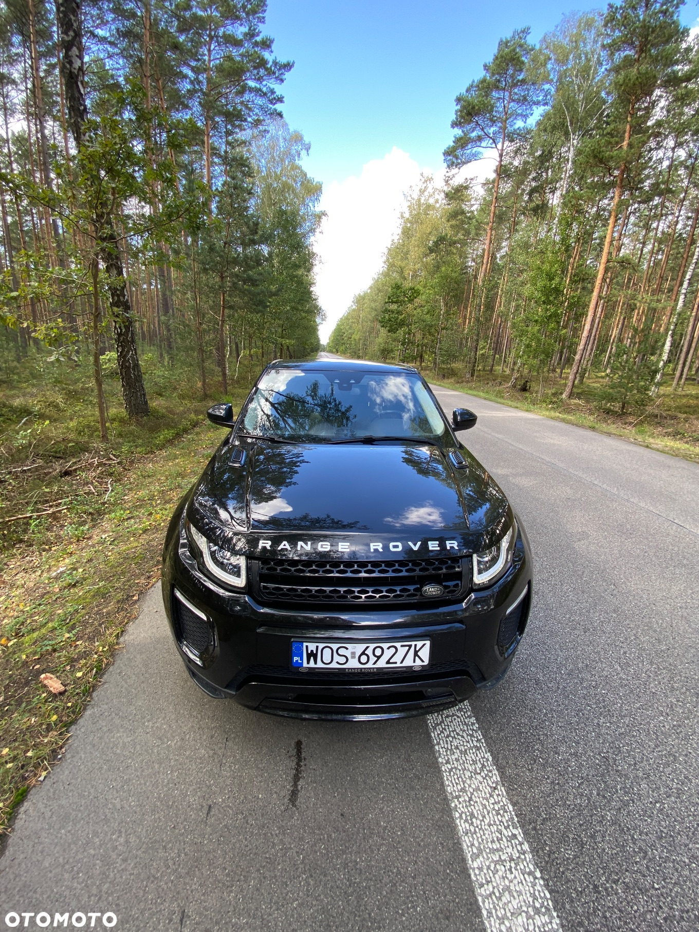 Land Rover Range Rover Evoque 2.0TD4 SE Dynamic Special Edition - 13