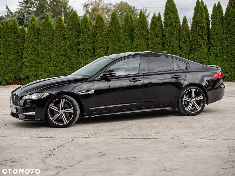 Jaguar XF P250 R-Dynamic BLACK - 7