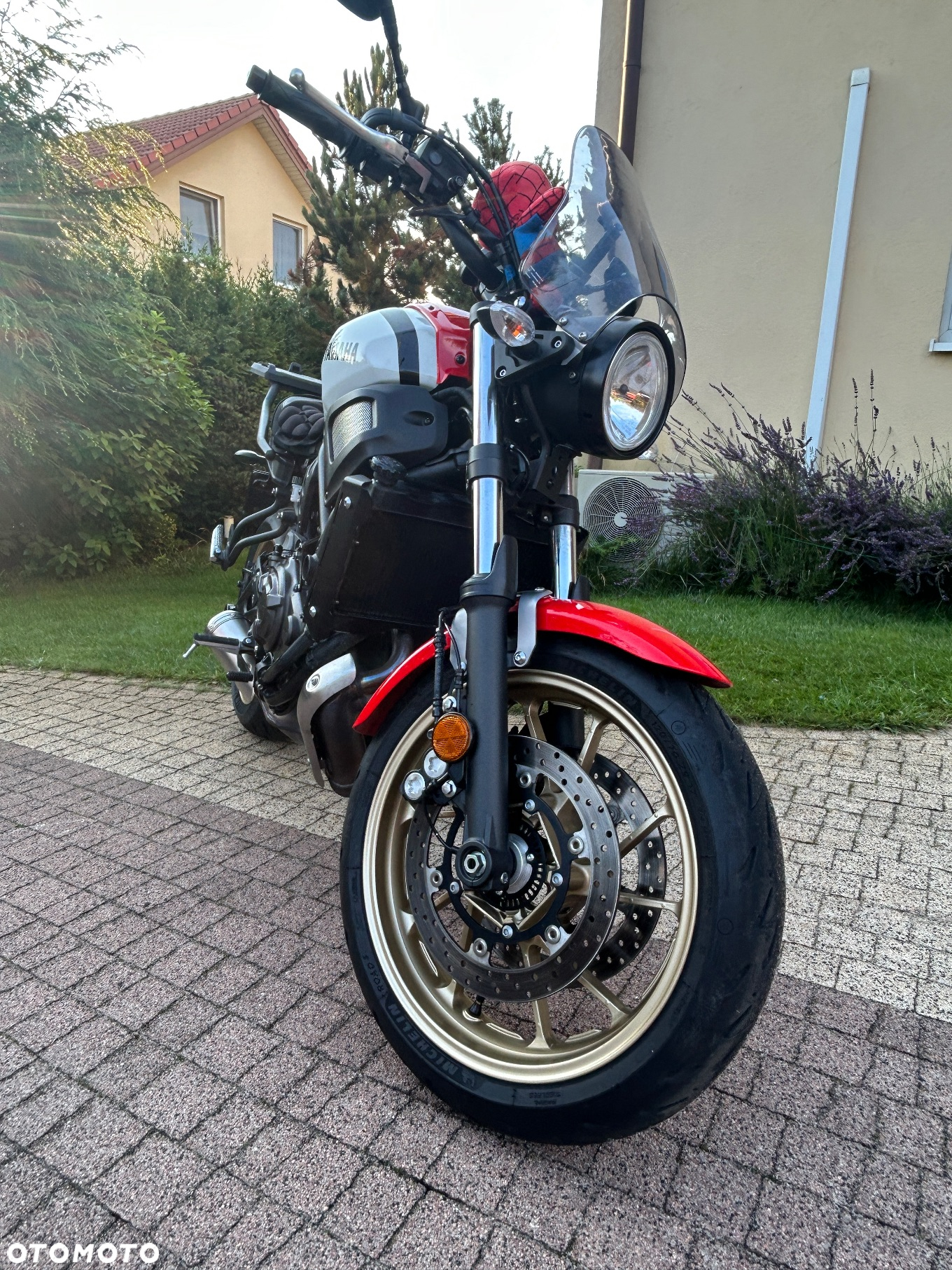 Yamaha XSR - 6