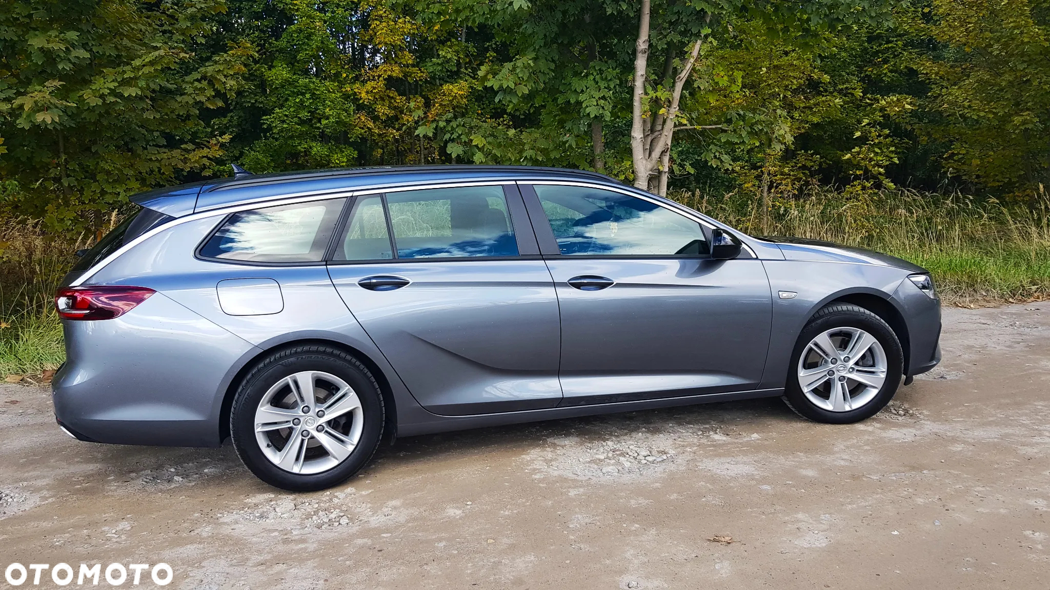 Opel Insignia 2.0 CDTI Business Edition S&S - 14