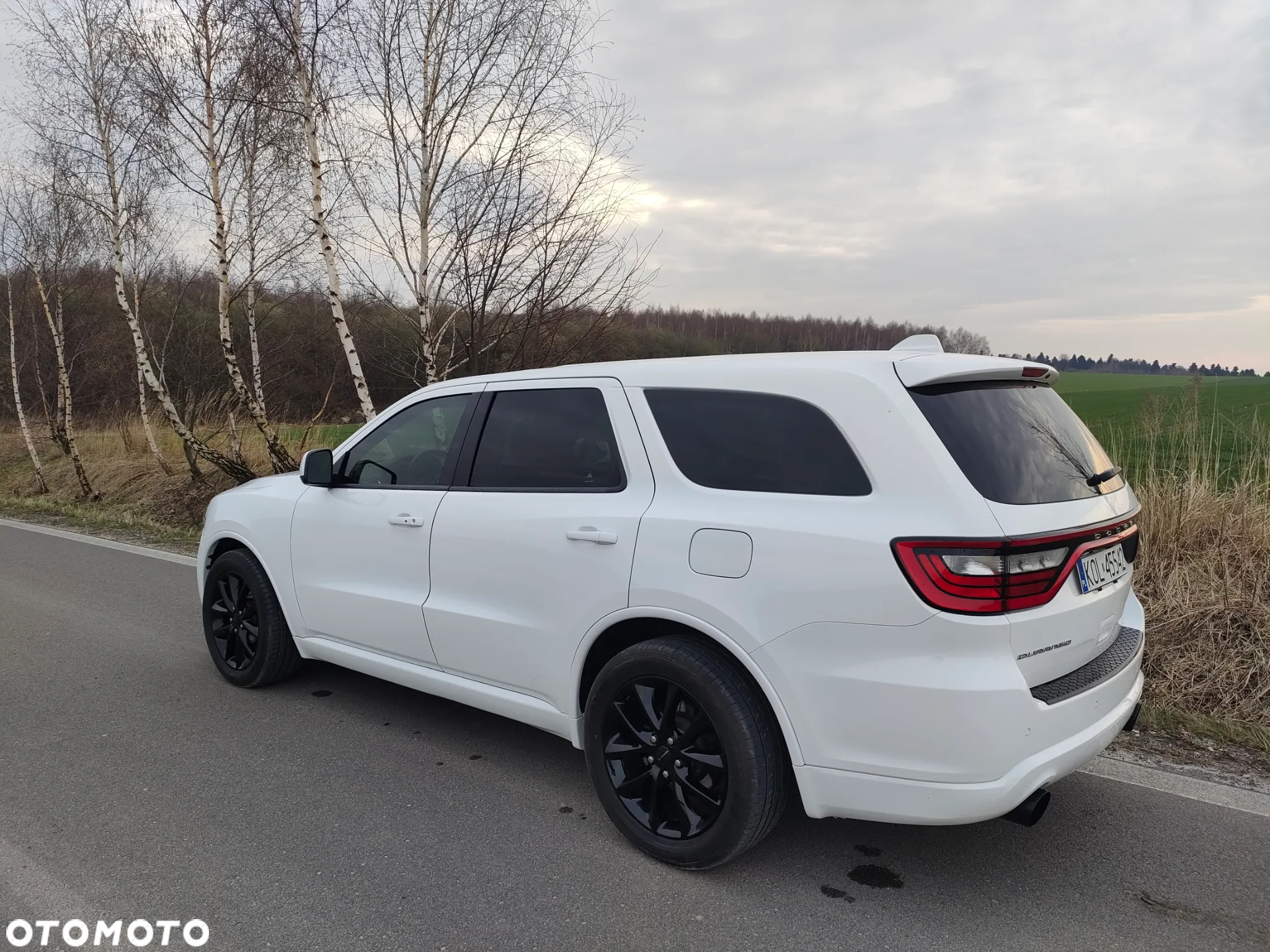 Dodge Durango 3,6 Limited - 10