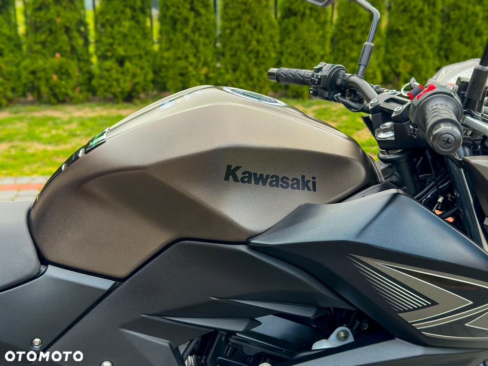 Kawasaki Z - 10