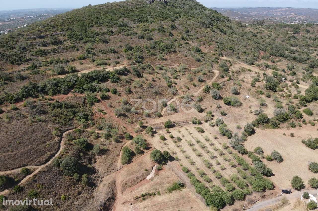 Terreno Rústico em Amorosa com poço de água e 27.160m2 de área - Grande imagem: 5/35
