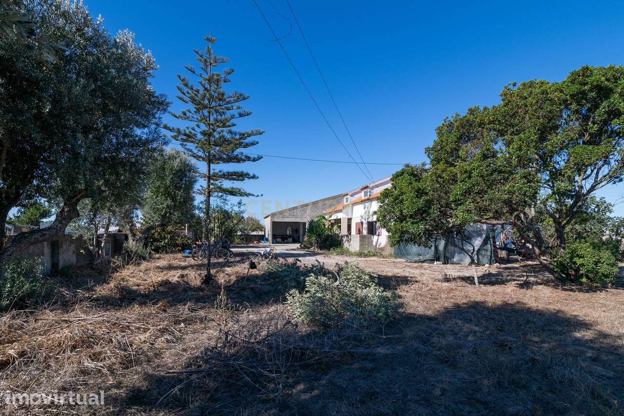 Quinta T4 com 7.981 m² de Terreno e Potencial Único | Montijo - Grande imagem: 4/25