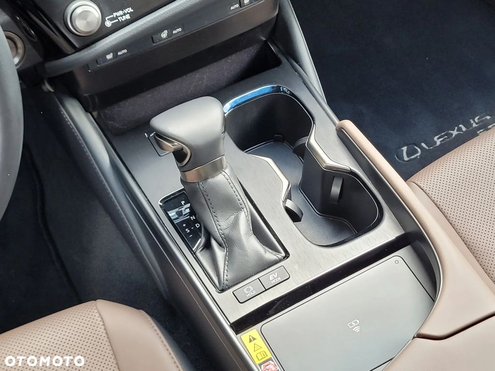 Lexus ES 300h F Sport Design - 20