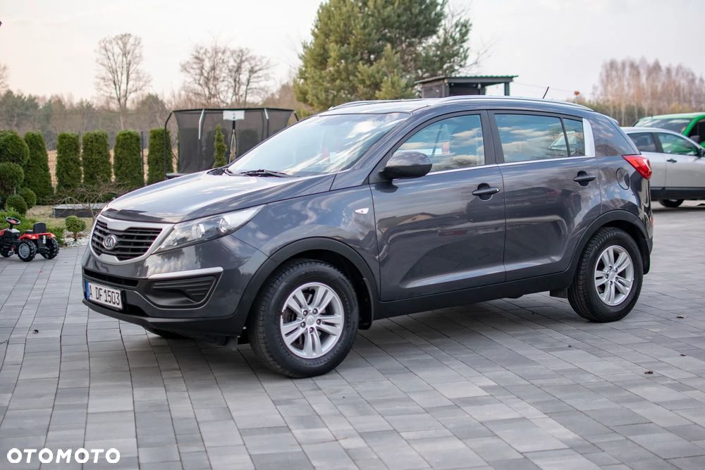 Kia Sportage - 29