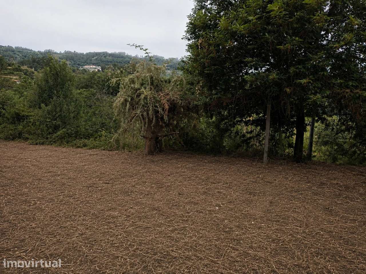 Terreno Grovelas, Ponte da Barca - Grande imagem: 3/11