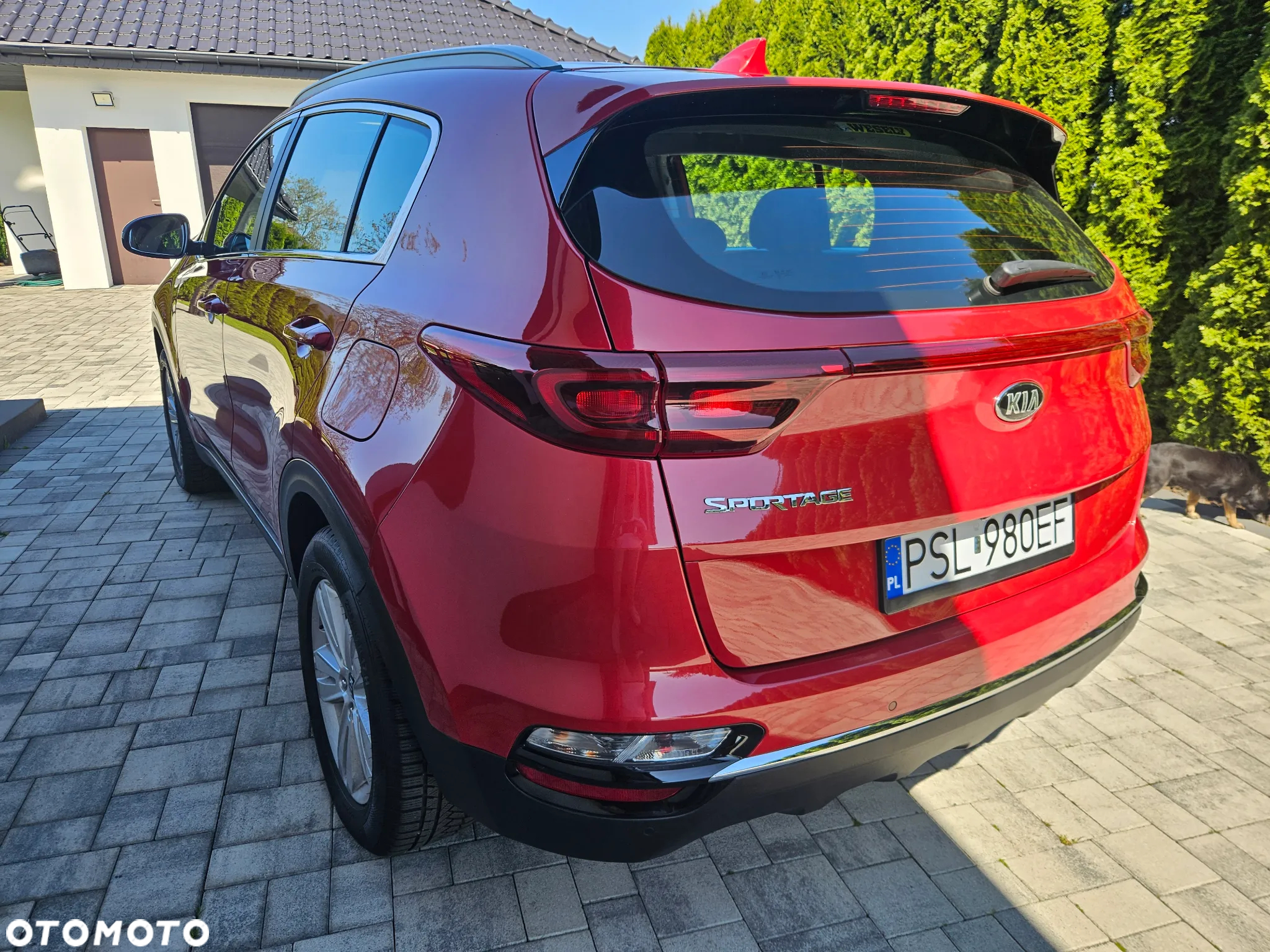 Kia Sportage 1.6 CRDI AWD GT LINE - 16