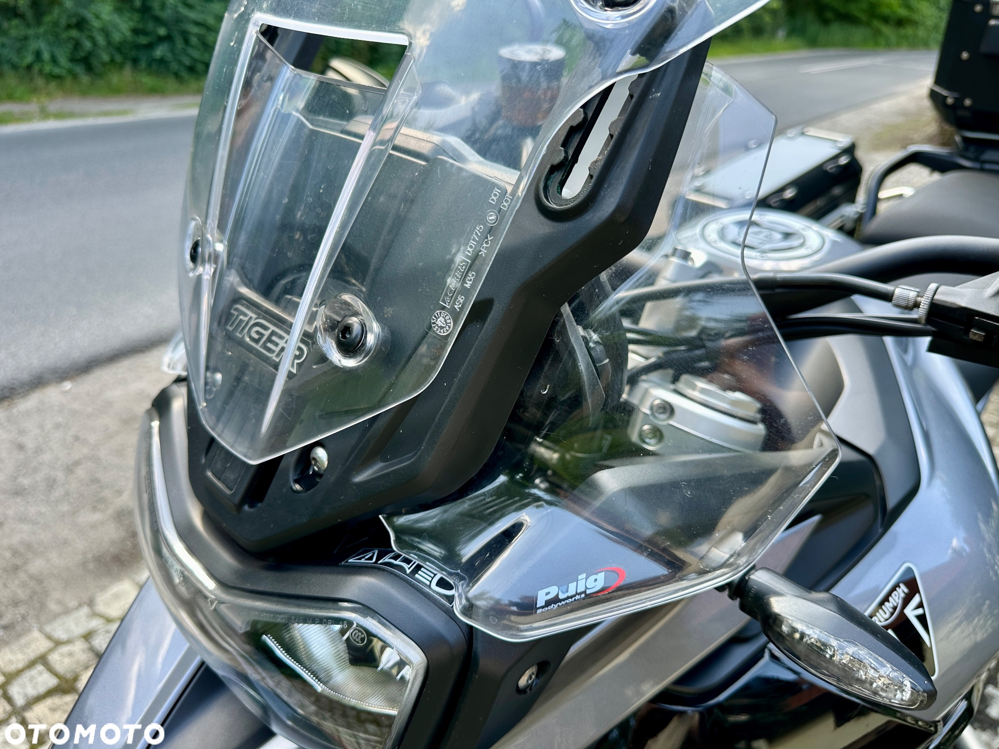 Triumph Tiger - 16