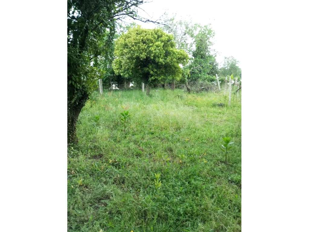 Terreno para construção em Bela, Monção - Grande imagem: 3/11