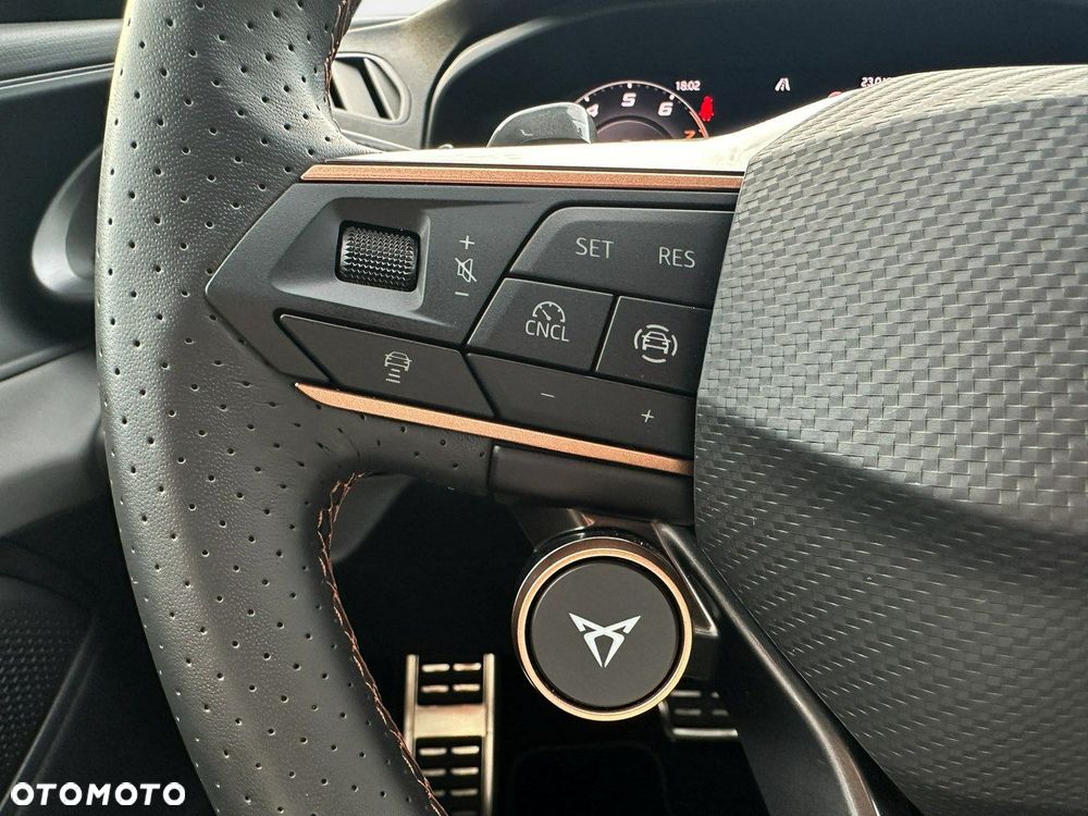 Cupra Terramar - 11