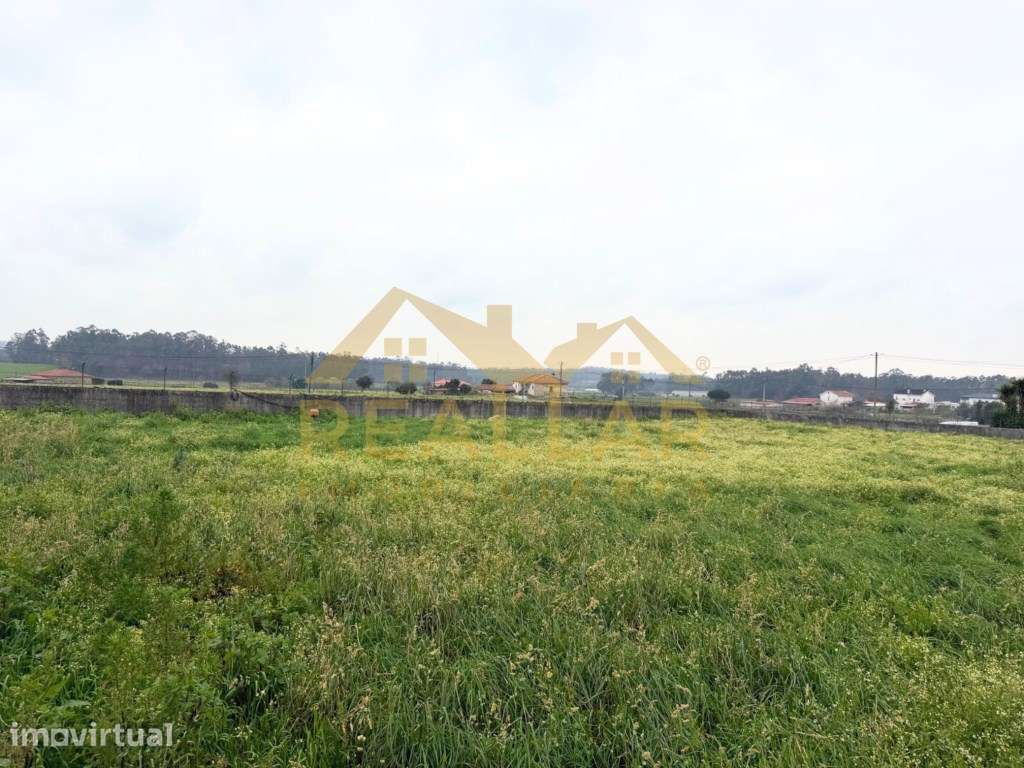 Terreno Urbano em Milhazes - Barcelos - Grande imagem: 2/26