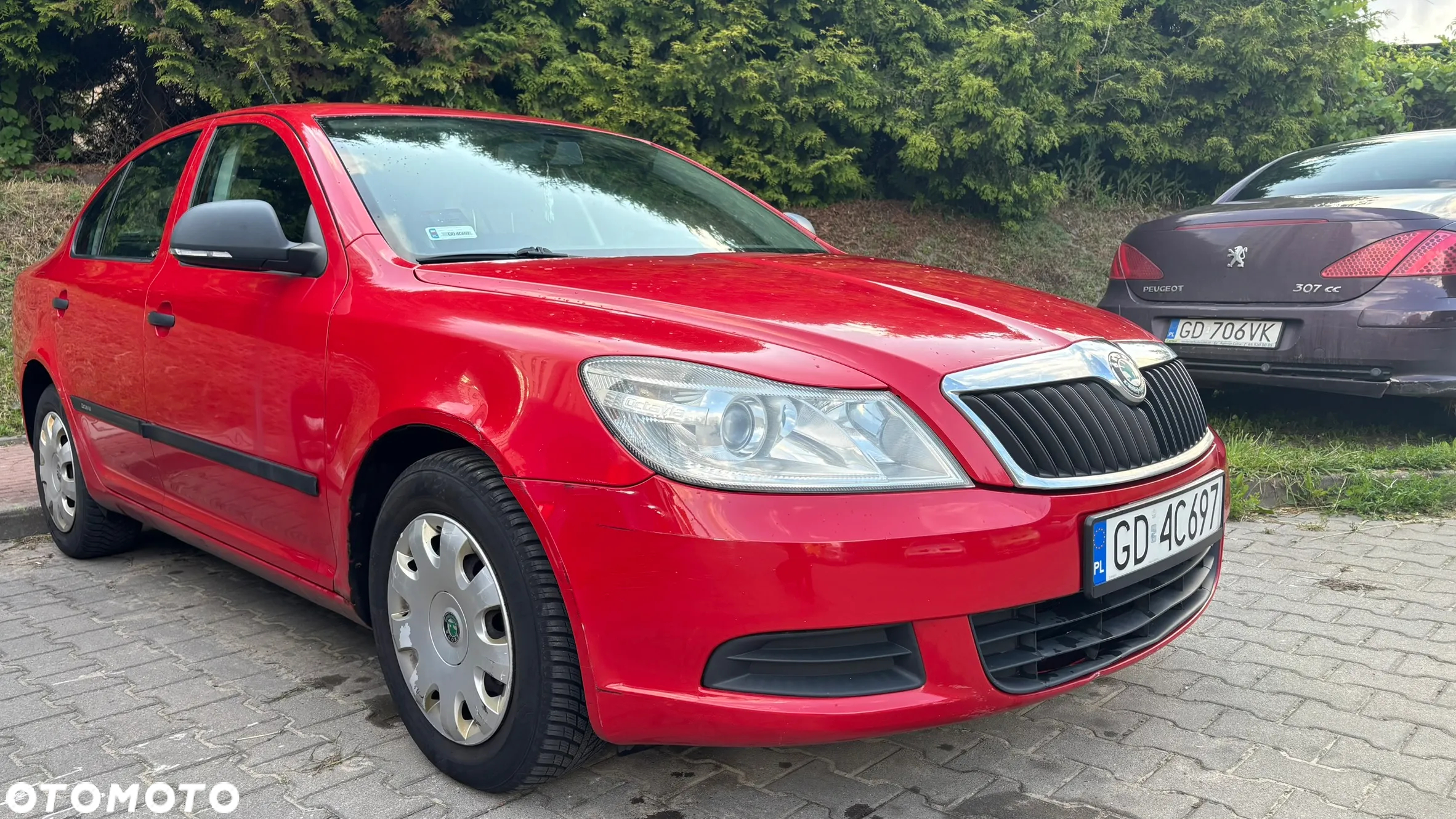 Skoda Octavia 1.9 TDI Mint - 2