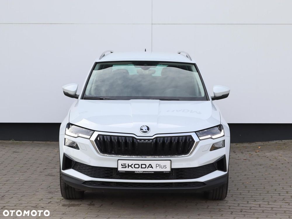 Skoda Karoq - 19