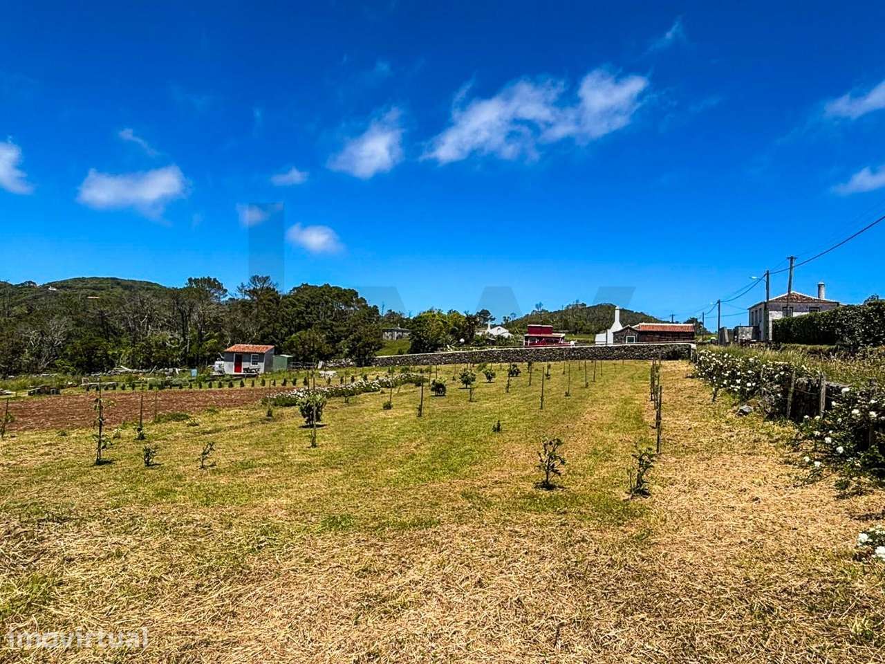 Terreno Rústico de 4850m2 - Santo Espírito, Vila do Porto - Grande imagem: 3/17