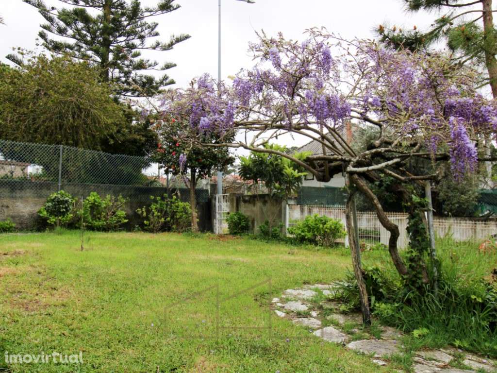 Casa de Madeira, em lote com 400m2, na Lagoa de Albufeira - Sesimbra - Grande imagem: 3/40
