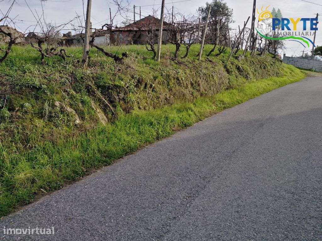 Quintinha composta por casa rústica a 5 minutos da Vila da Sertã - Grande imagem: 3/34